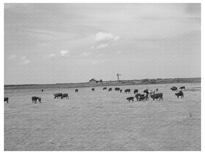 Bosley Reorganization Unit Baca County Colorado 1939