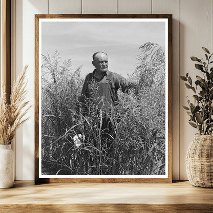 Mr. Bosley in Sudan Grass Field Baca County Colorado 1939