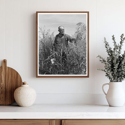 Mr. Bosley in Sudan Grass Field Baca County Colorado 1939