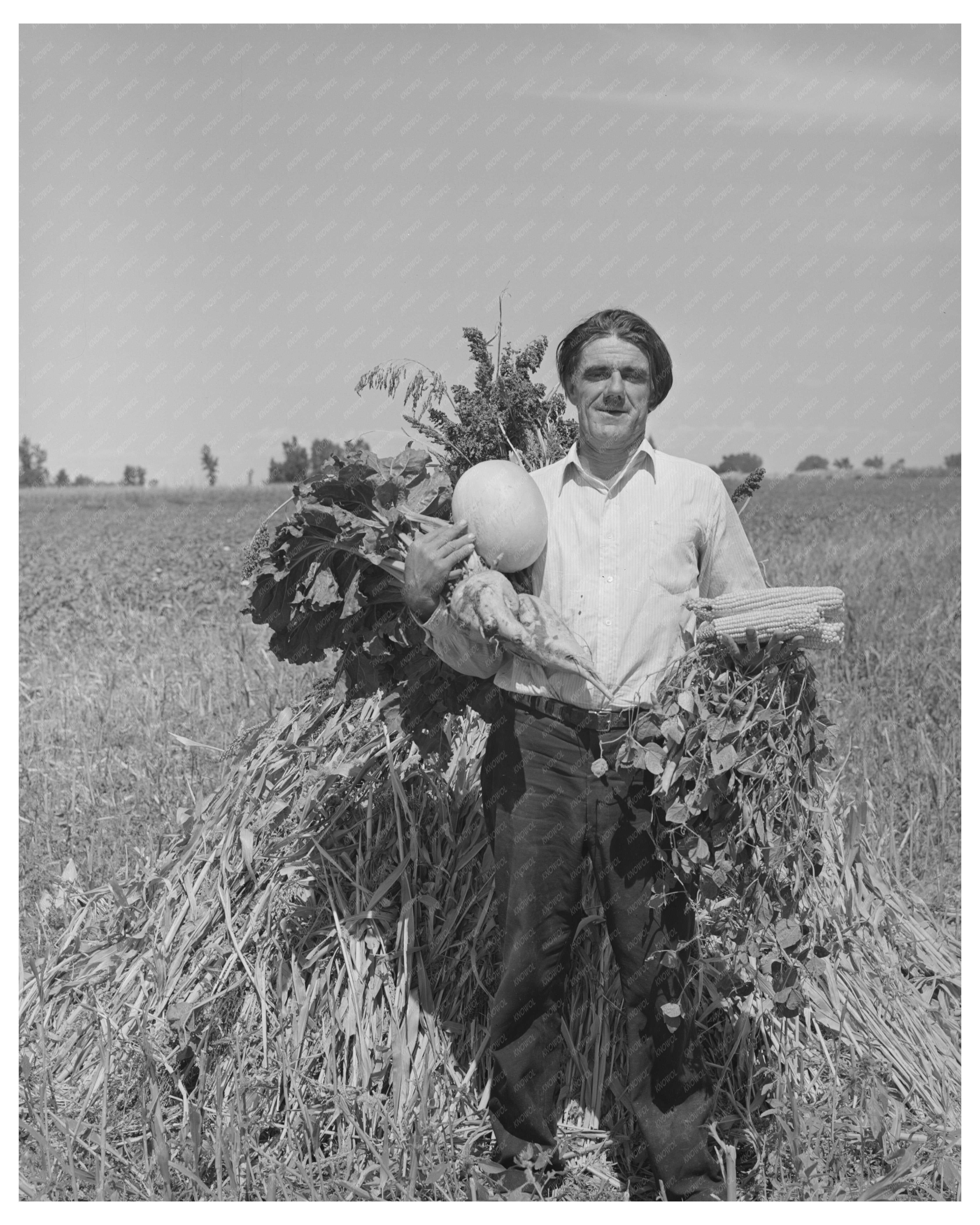 Fruits of the Soil on Ernest W Kirk Jr Farm September 1939