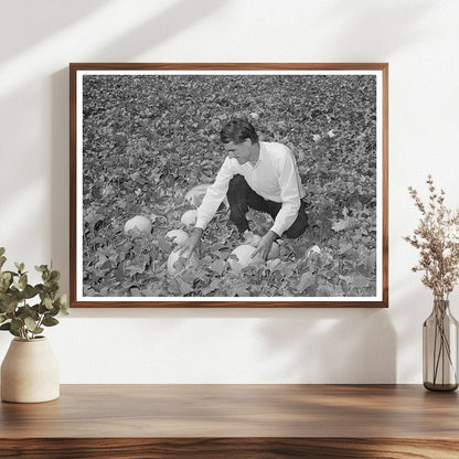 Ernest Kirk Jr. Examines Honeydew Melons in Colorado 1939