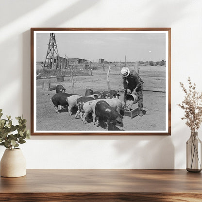 Mr. Bosley Feeding Hogs on Colorado Farm September 1939