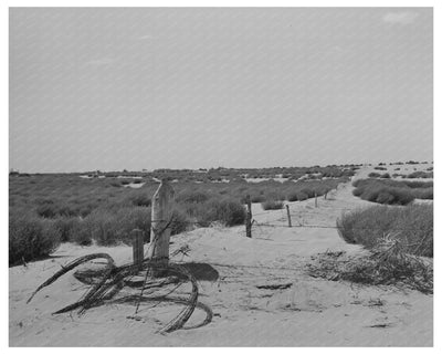 Barbed Wire Fence and Tumbleweed in Dust Bowl Kansas 1939