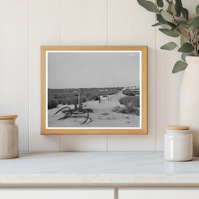 Barbed Wire Fence and Tumbleweed in Dust Bowl Kansas 1939