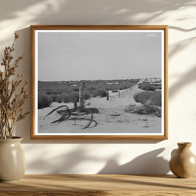 Barbed Wire Fence and Tumbleweed in Dust Bowl Kansas 1939