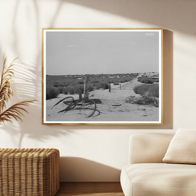 Barbed Wire Fence and Tumbleweed in Dust Bowl Kansas 1939