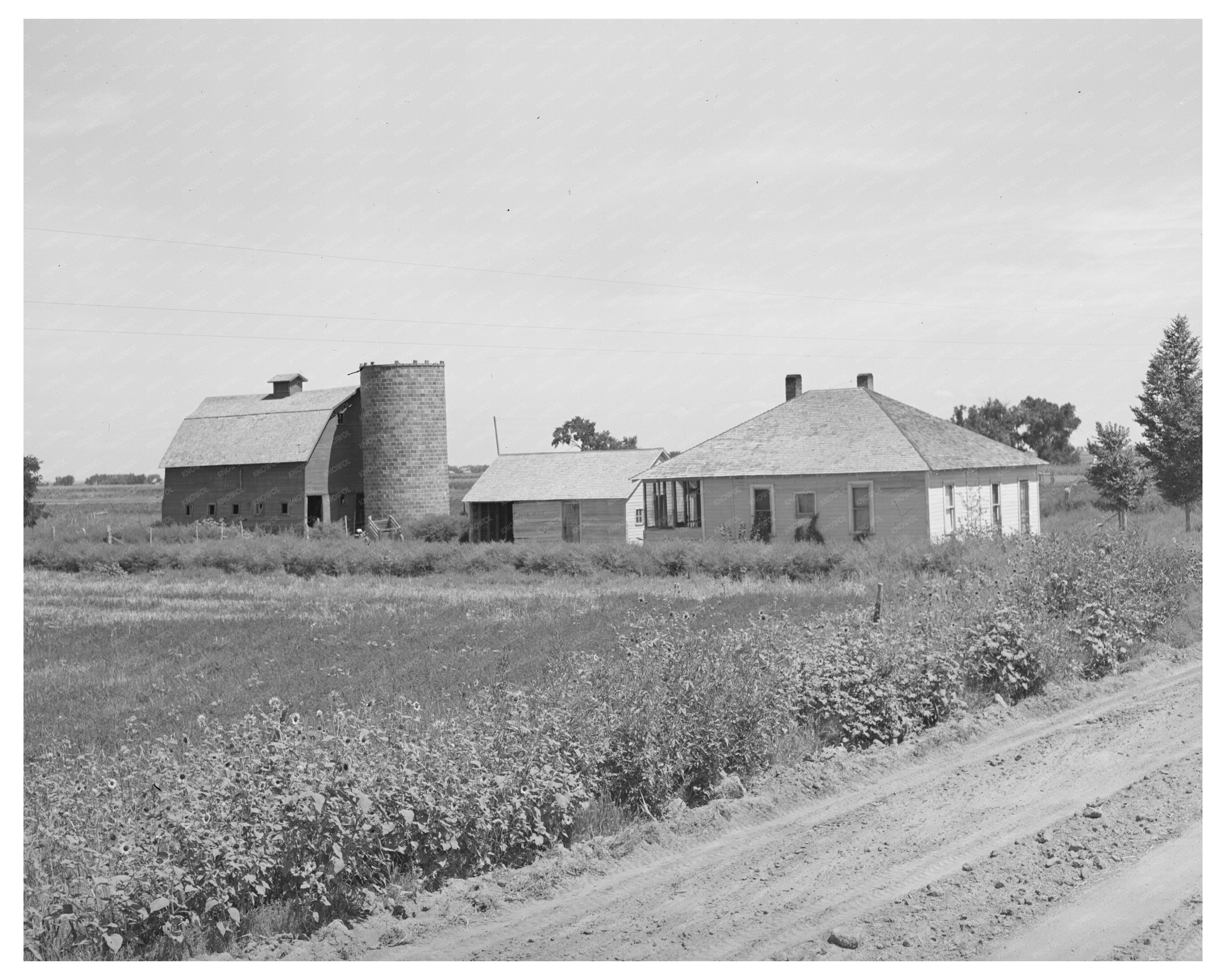 Ernest W Kirk Jr Farmstead Near Ordway Colorado 1939