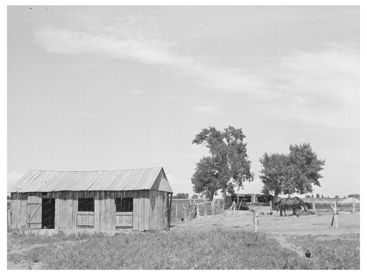 Ernest W Kirk Jr Farm in Ordway Colorado 1939
