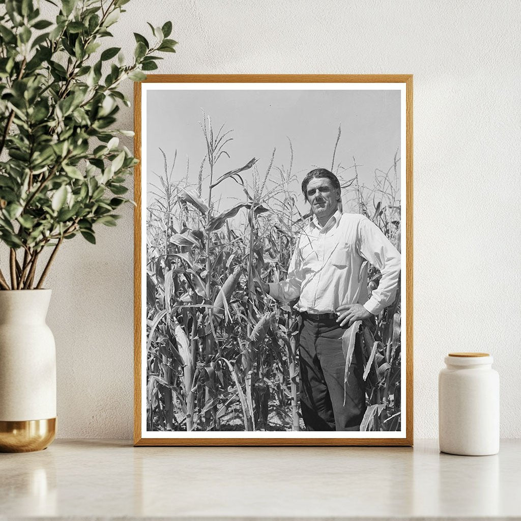 Ernest W. Kirk Jr. in Hybrid Corn Field Colorado 1939