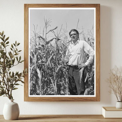 Ernest W. Kirk Jr. in Hybrid Corn Field Colorado 1939