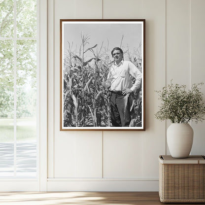 Ernest W. Kirk Jr. in Hybrid Corn Field Colorado 1939