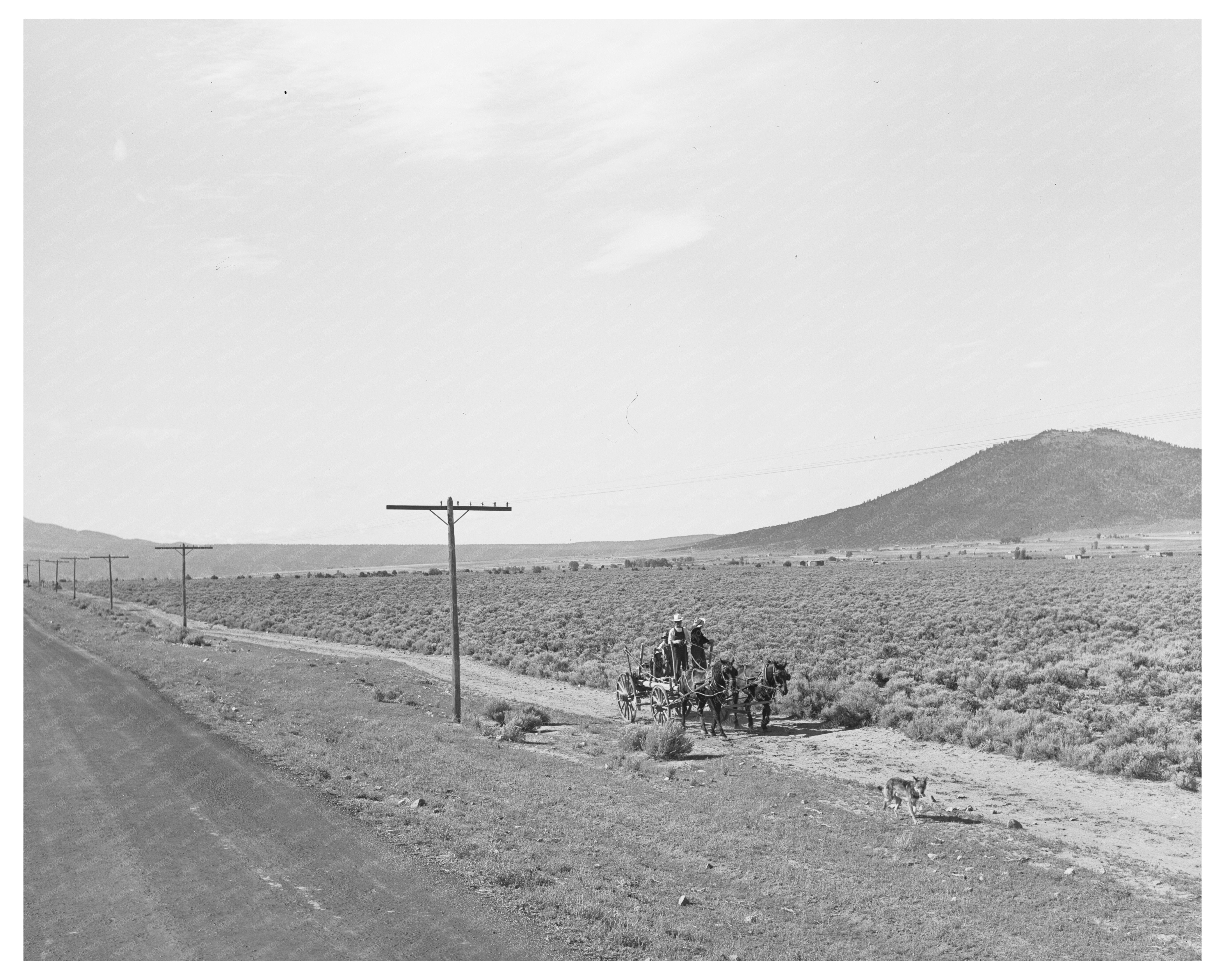 Sagebrush Landscape in Taos County New Mexico 1939