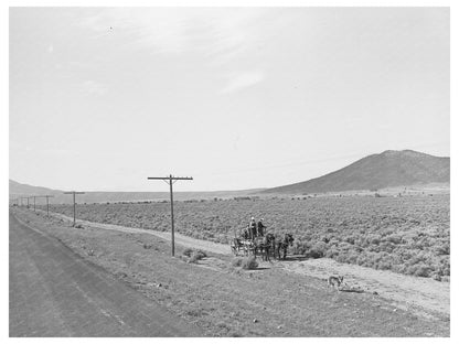 Sagebrush Landscape South of Costilla New Mexico 1939
