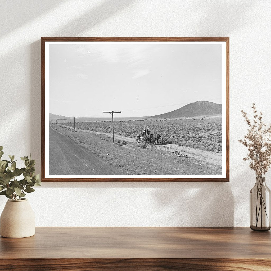 Sagebrush Landscape South of Costilla New Mexico 1939