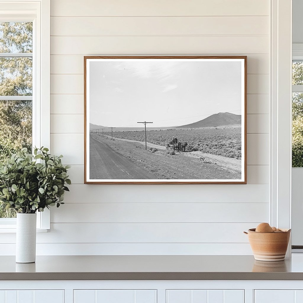 Sagebrush Landscape South of Costilla New Mexico 1939