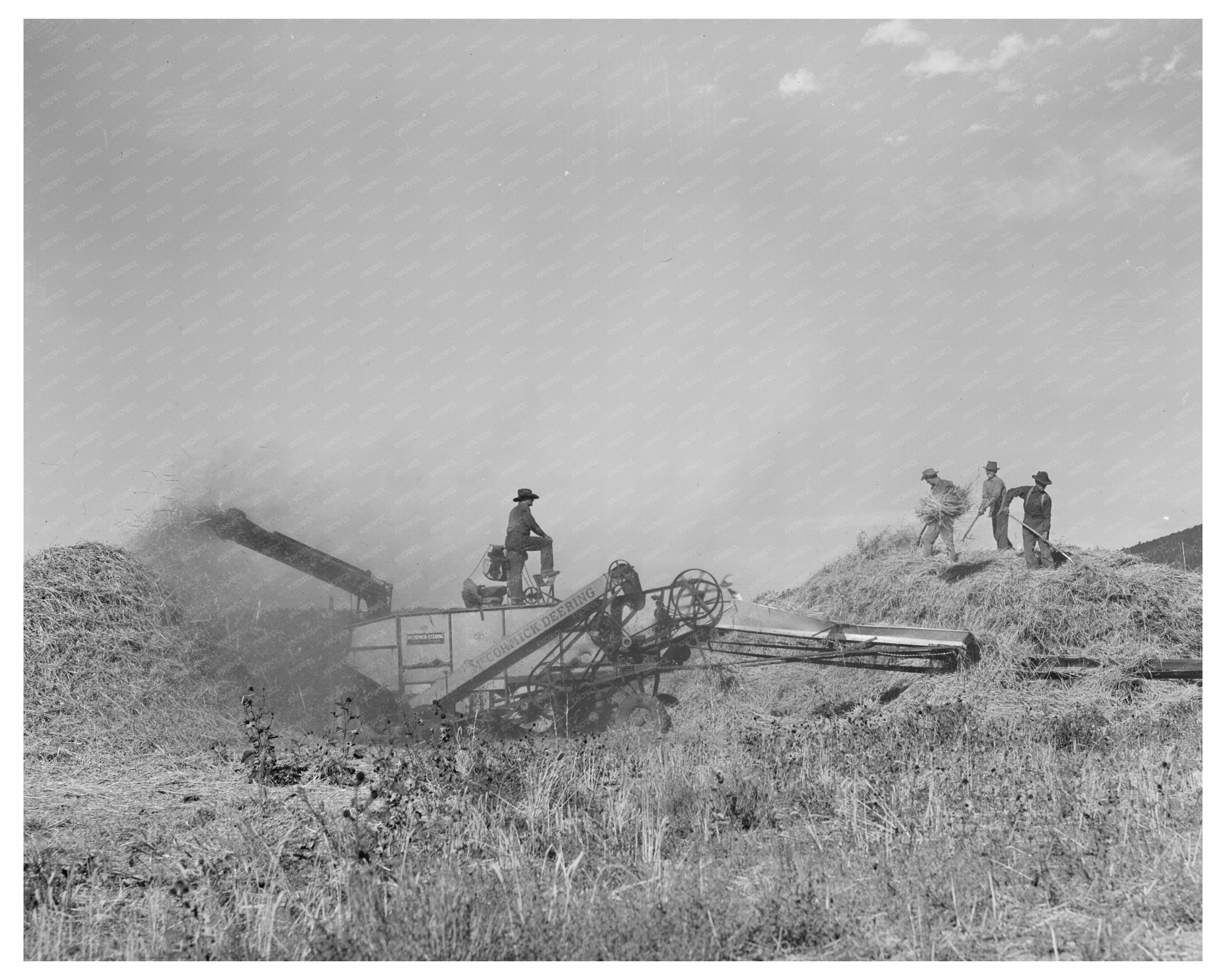 Wheat Threshing in Questa New Mexico 1939