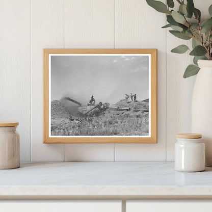 Wheat Threshing in Questa New Mexico 1939