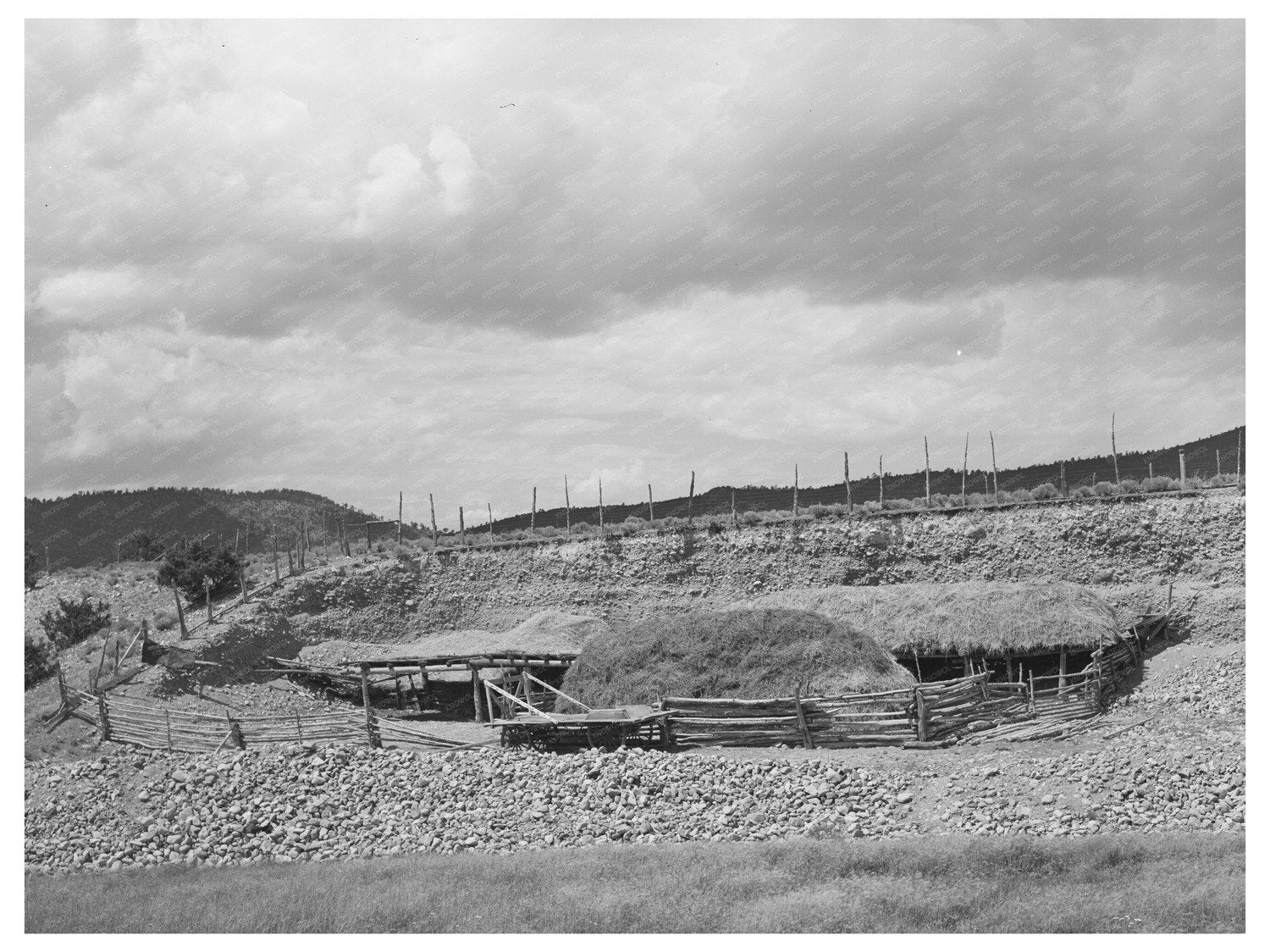Straw Shelter for Livestock in Taos County 1939