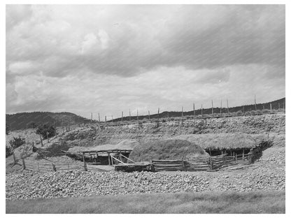 Straw Shelter for Livestock in Taos County 1939