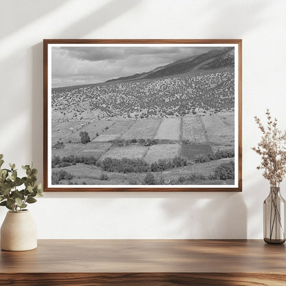 Strip Farms Along Rio Hondo Taos New Mexico 1939