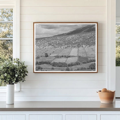 Strip Farms Along Rio Hondo Taos New Mexico 1939