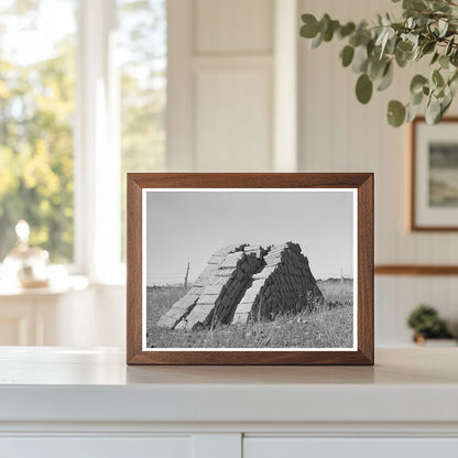 Adobe Brick Structure in Questa New Mexico 1939
