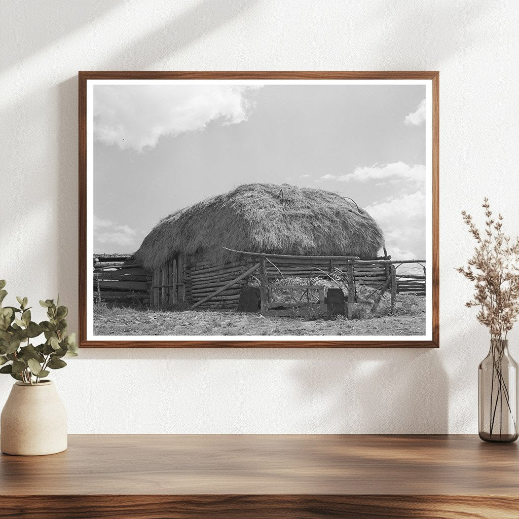 Straw-Covered Barn on New Mexico Farm September 1939