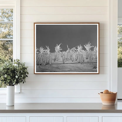 Corn Drying on Fence at Taos Farm September 1939
