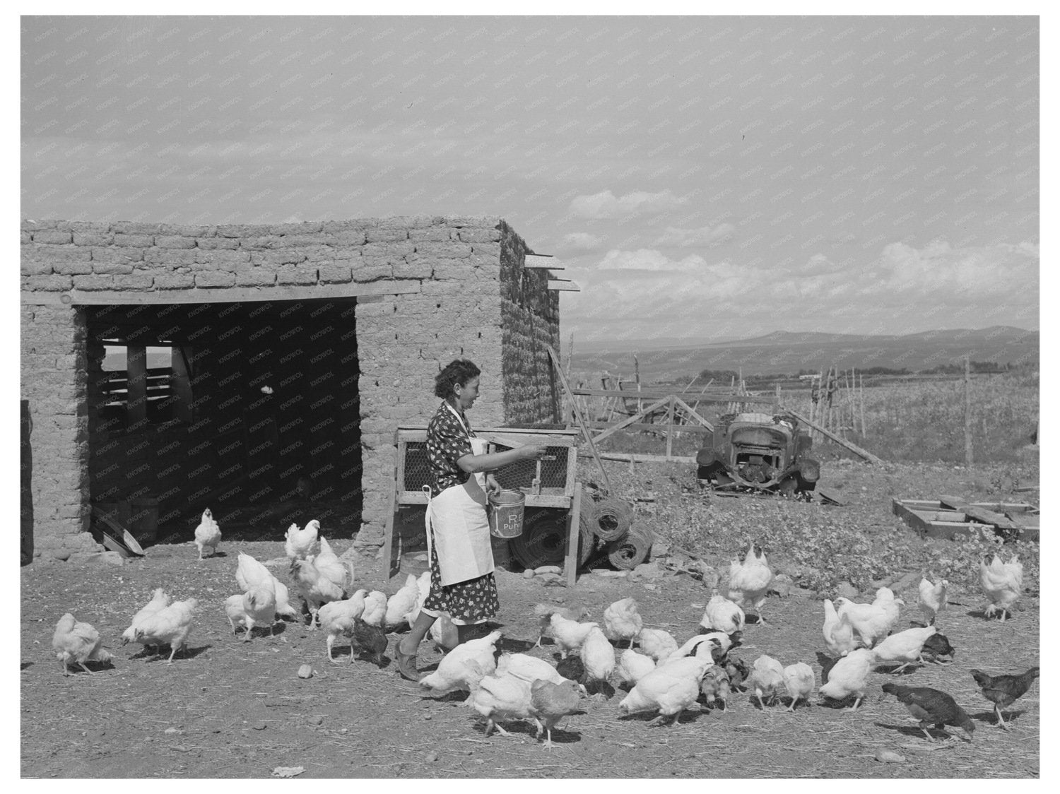 Ofelia Trujillo Feeding Chickens in Taos New Mexico 1939