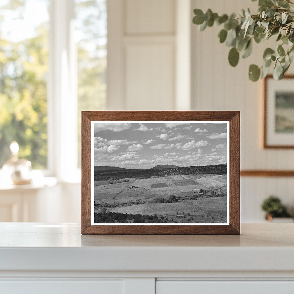 Strip Farming in Taos County New Mexico 1939