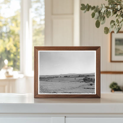 Mora River Valley Orchard September 1939 Image