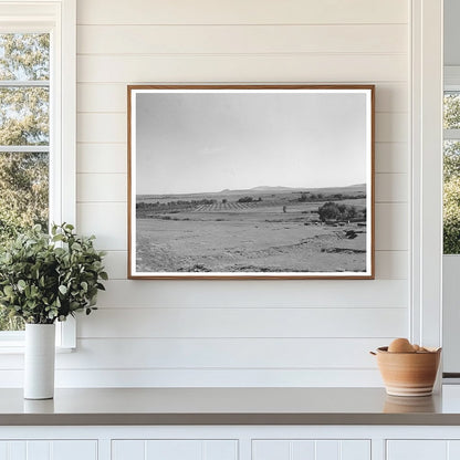 Mora River Valley Orchard September 1939 Image