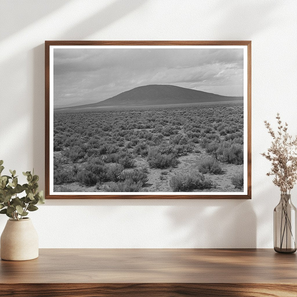 Sagebrush Country Near Costilla New Mexico 1939