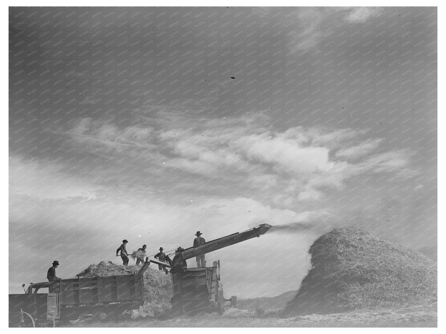 Threshing Wheat in Questa New Mexico September 1939