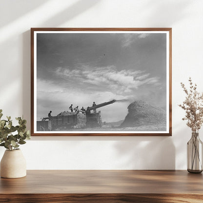 Threshing Wheat in Questa New Mexico September 1939