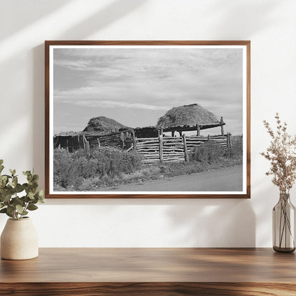 Vintage Stock Shelters with Hay Taos County New Mexico 1939