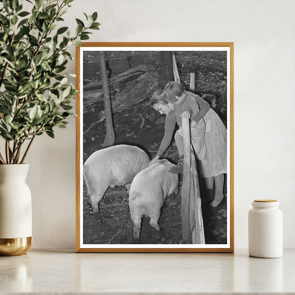 Farm Family Interacting with Pigs in Vermont 1939