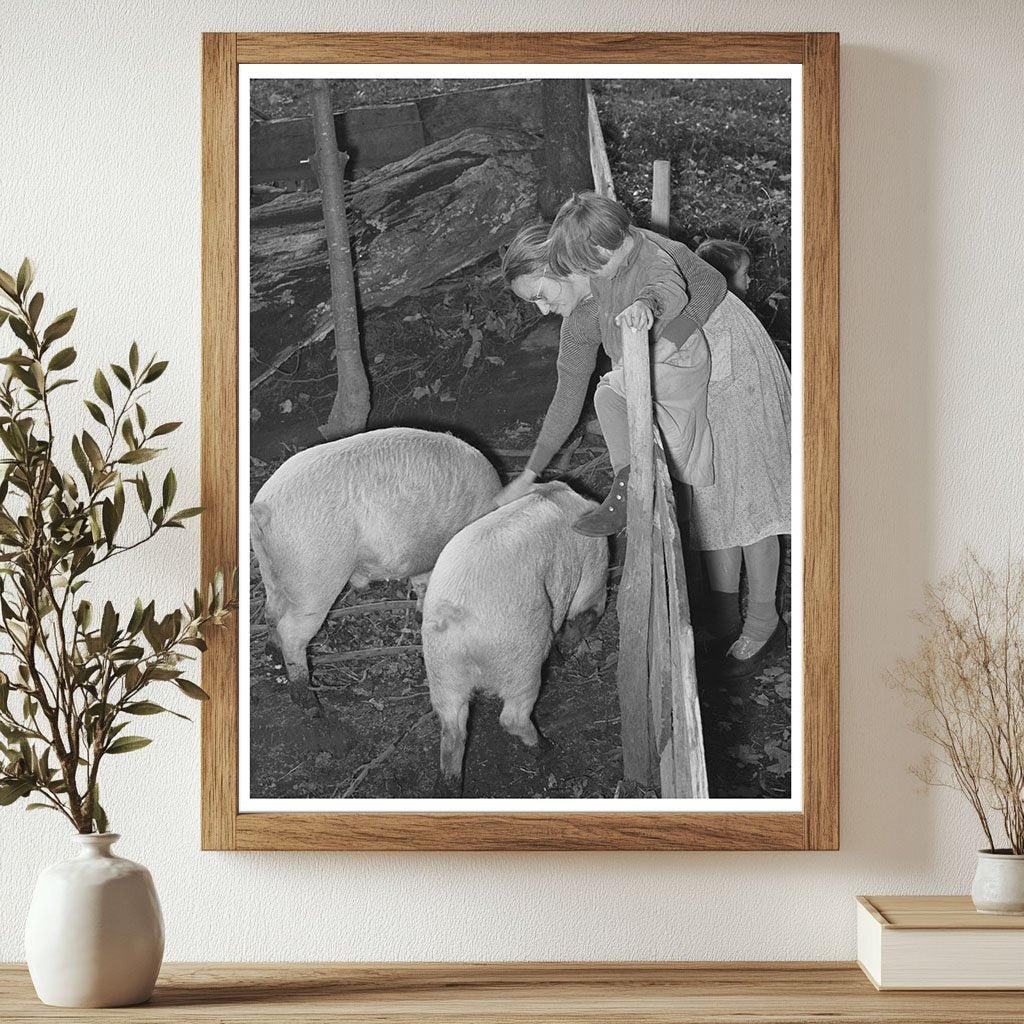 Farm Family Interacting with Pigs in Vermont 1939