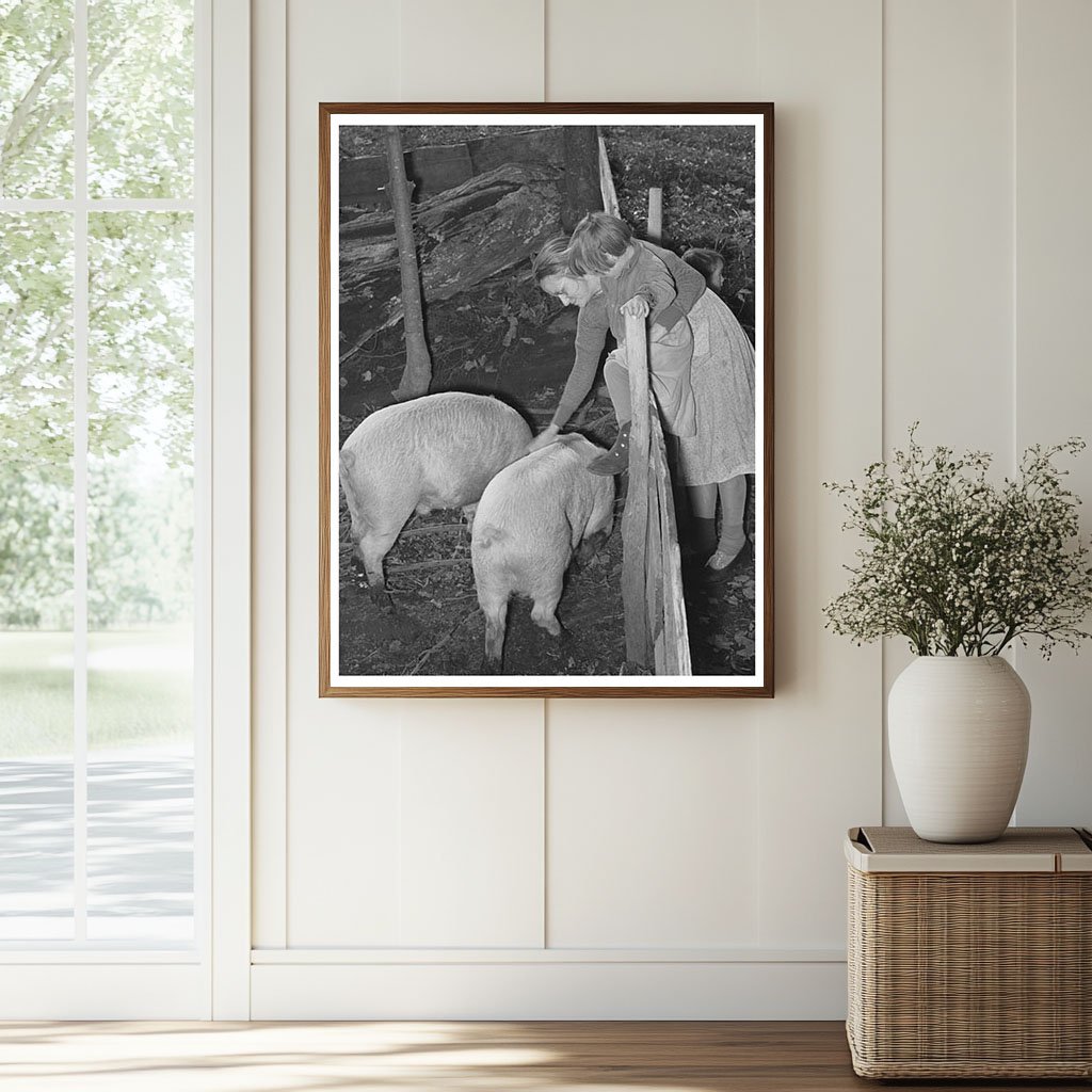 Farm Family Interacting with Pigs in Vermont 1939