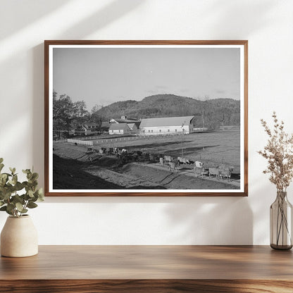 Cows Returning Home in Wallingford Vermont 1939