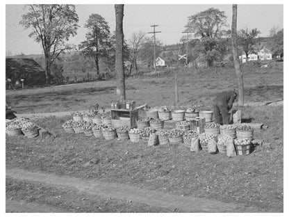 Roadside Stand Near Bennington Vermont October 1939