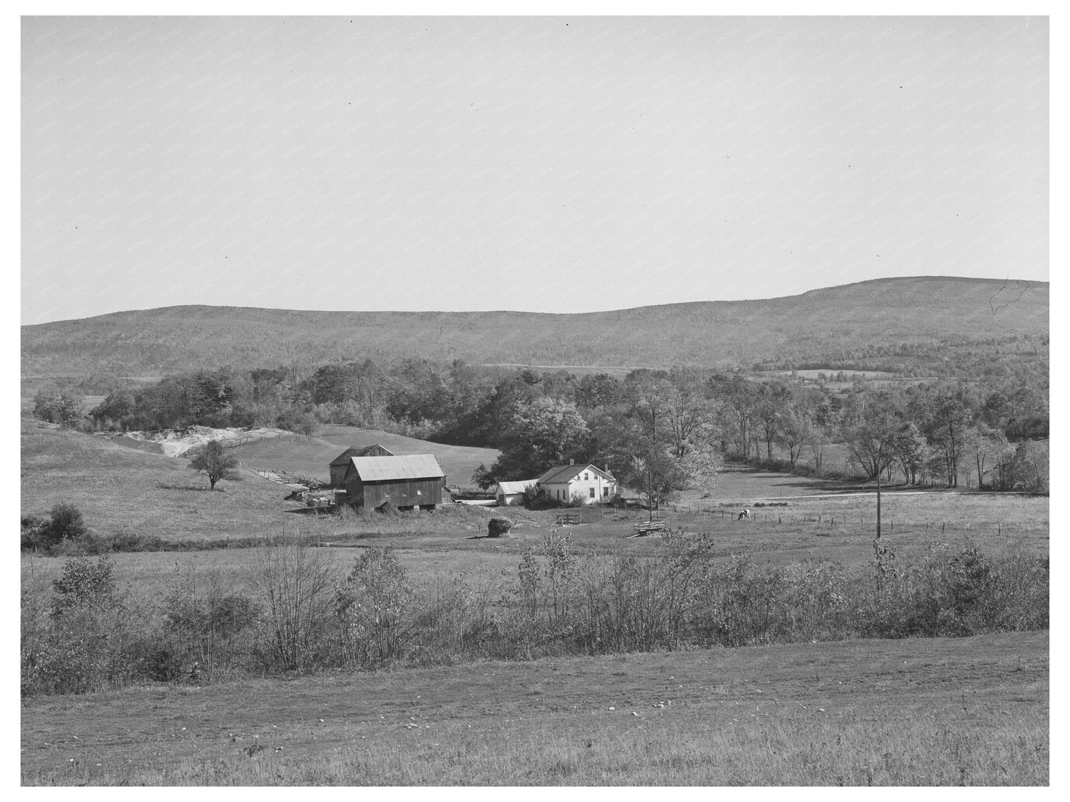 Farm Scene in Arlington Vermont October 1939