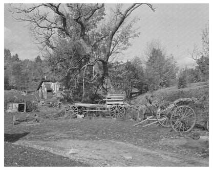 Vintage Barnyard Scene in Orange County Vermont 1939