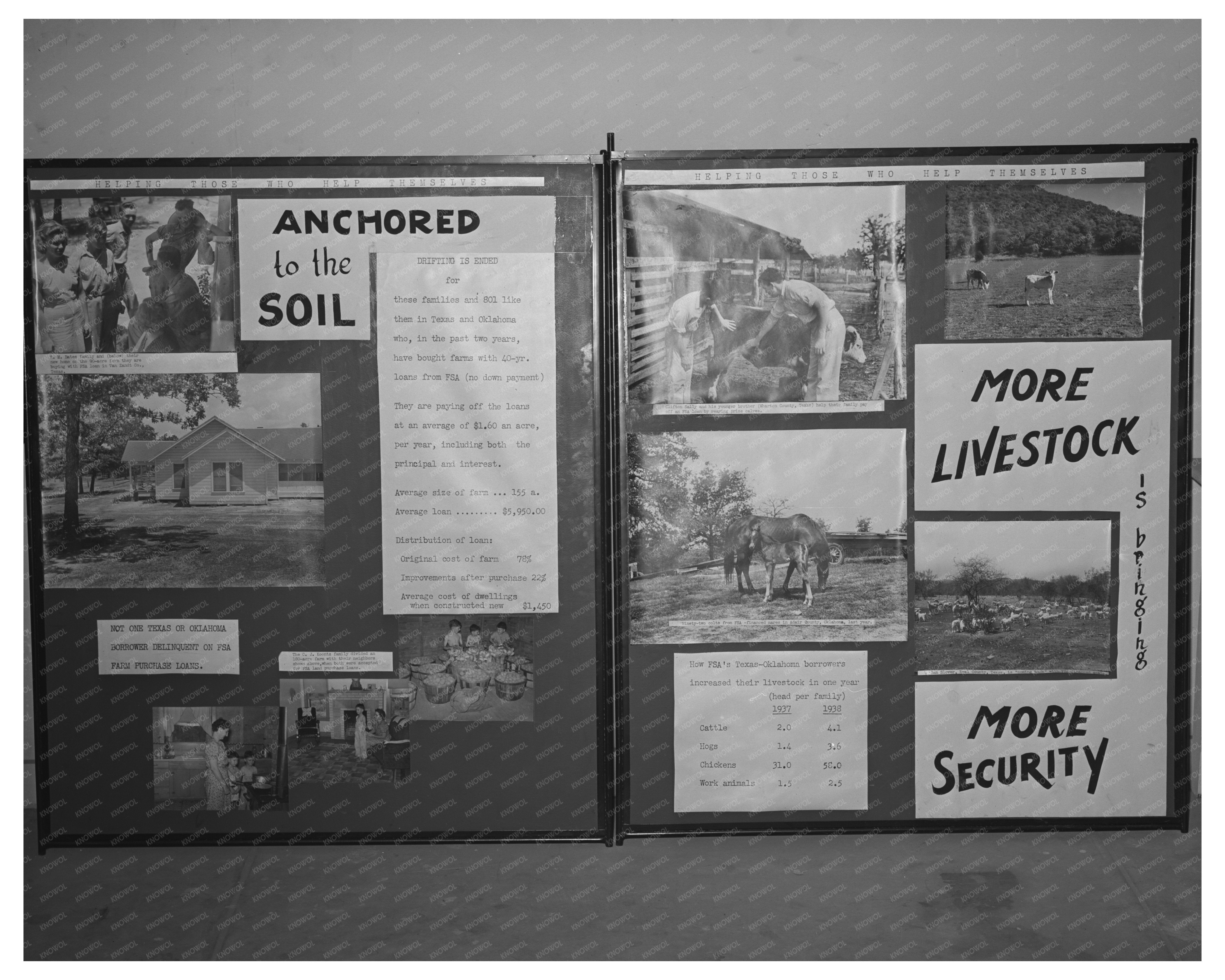 Texas State Fair Farm Security Exhibit 1939