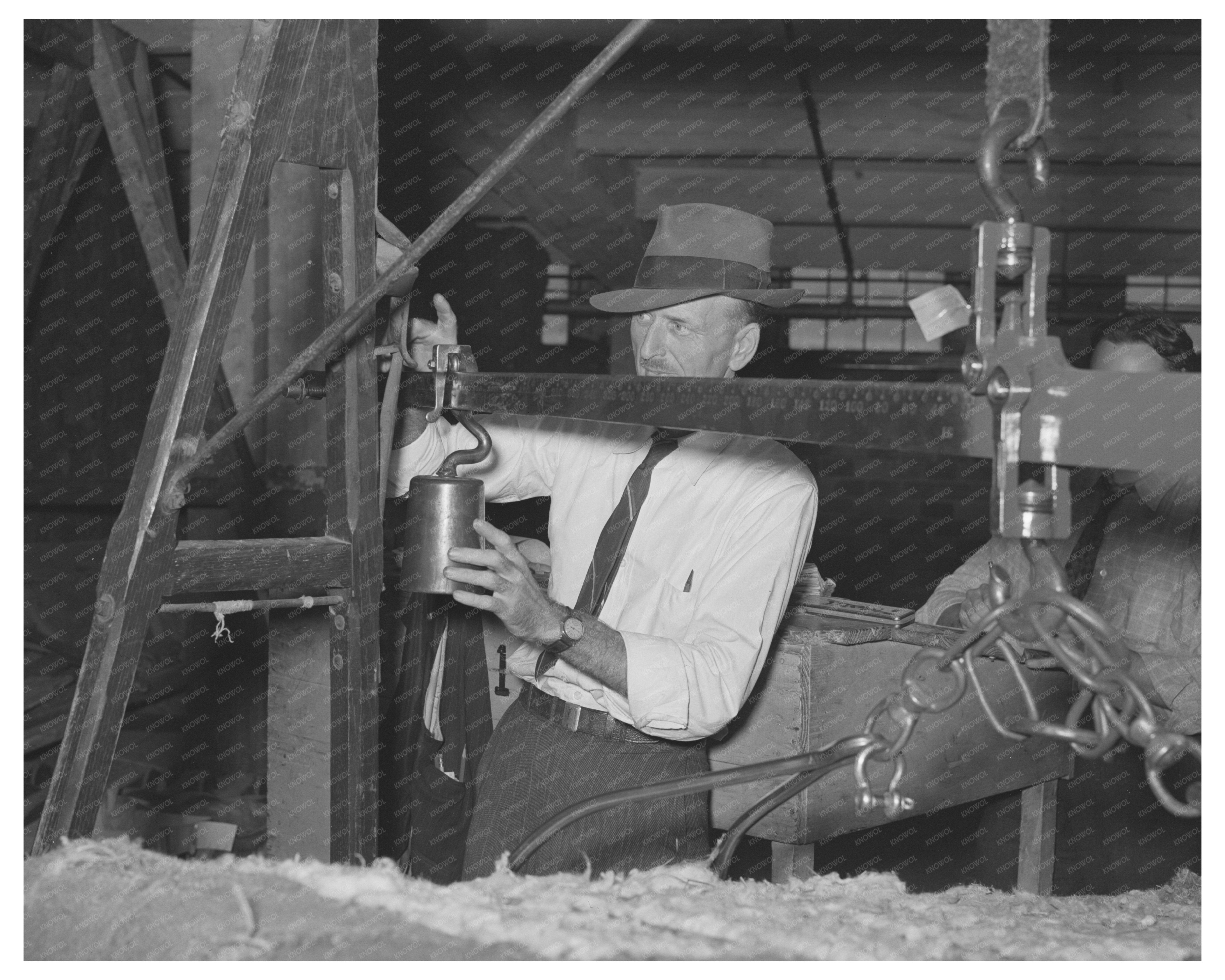 Weighing a Bale of Cotton Houston Texas 1939