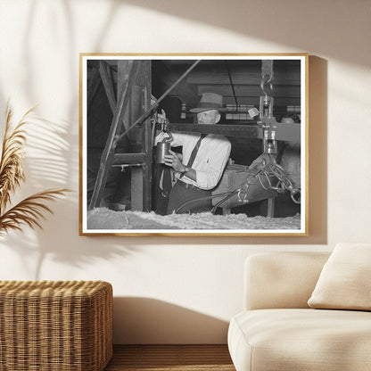 Weighing a Bale of Cotton Houston Texas 1939
