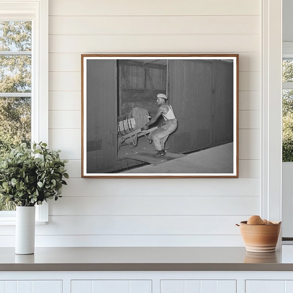 Worker Unloading Cotton Bale from Railroad Car Houston 1939