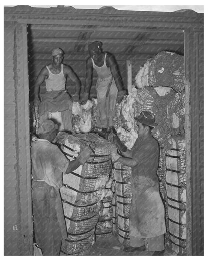 Cotton Freight Car Unloading in Houston 1939