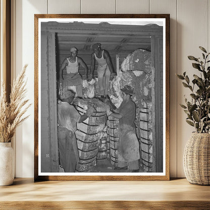 Cotton Freight Car Unloading in Houston 1939