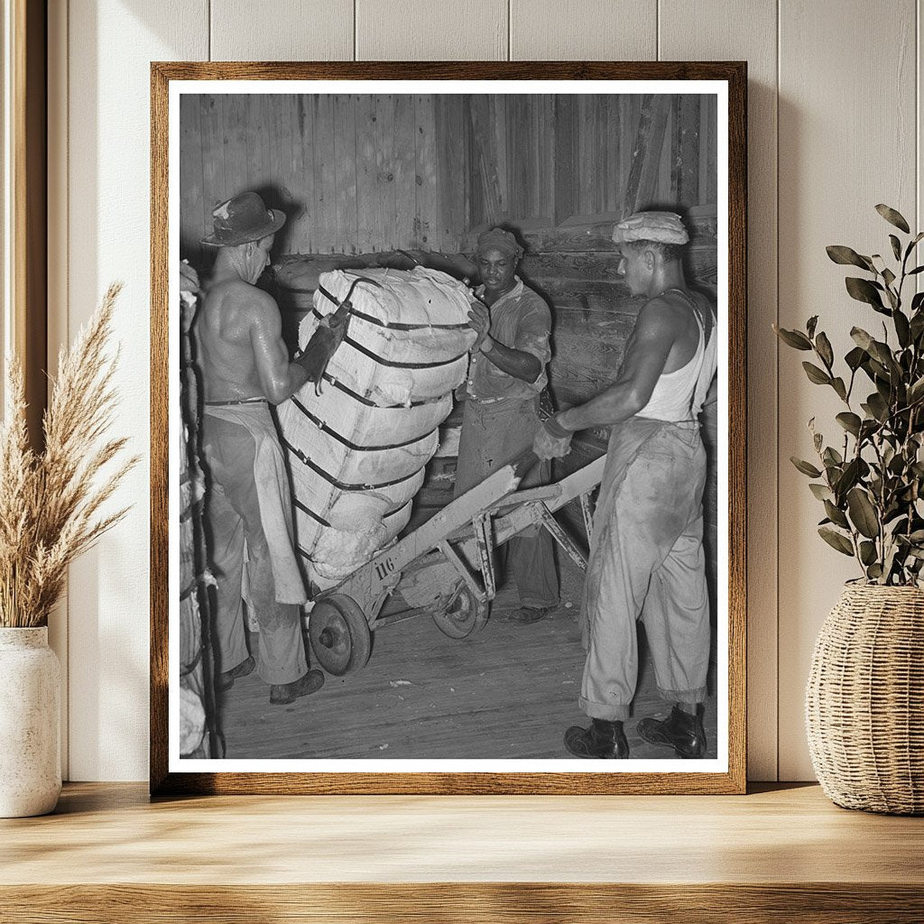 Worker Unloading Cotton Bale in Houston Texas 1939